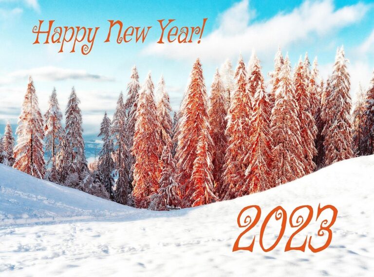 bangla xxv 2023 date