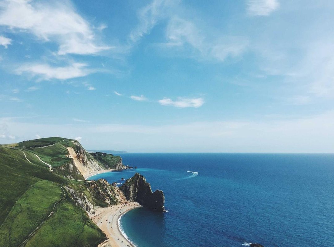 Head-to-Head Comparison: Choosing the Right Cream for the Right Condition