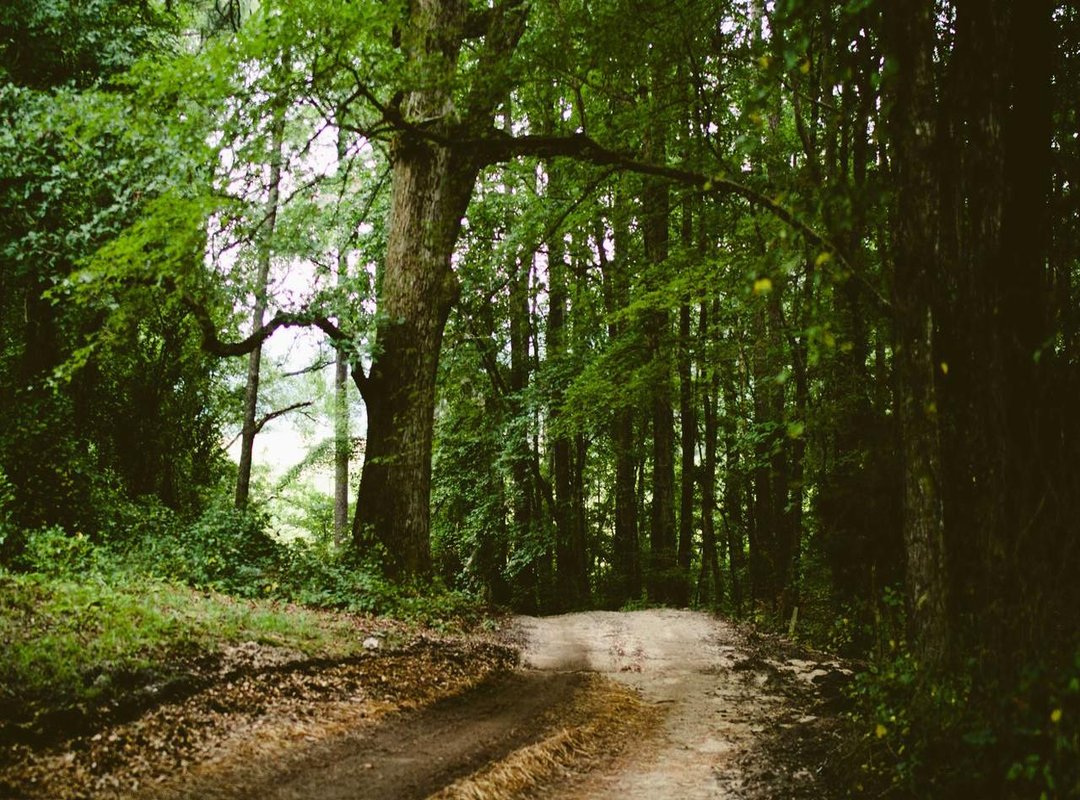 Understanding the 'Dulu' Era: Career Highlights and Public Image