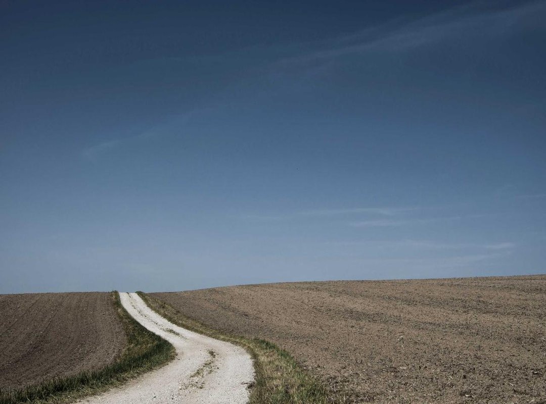 Warning: Avoid These Coin Master 'Free Spin' Scams