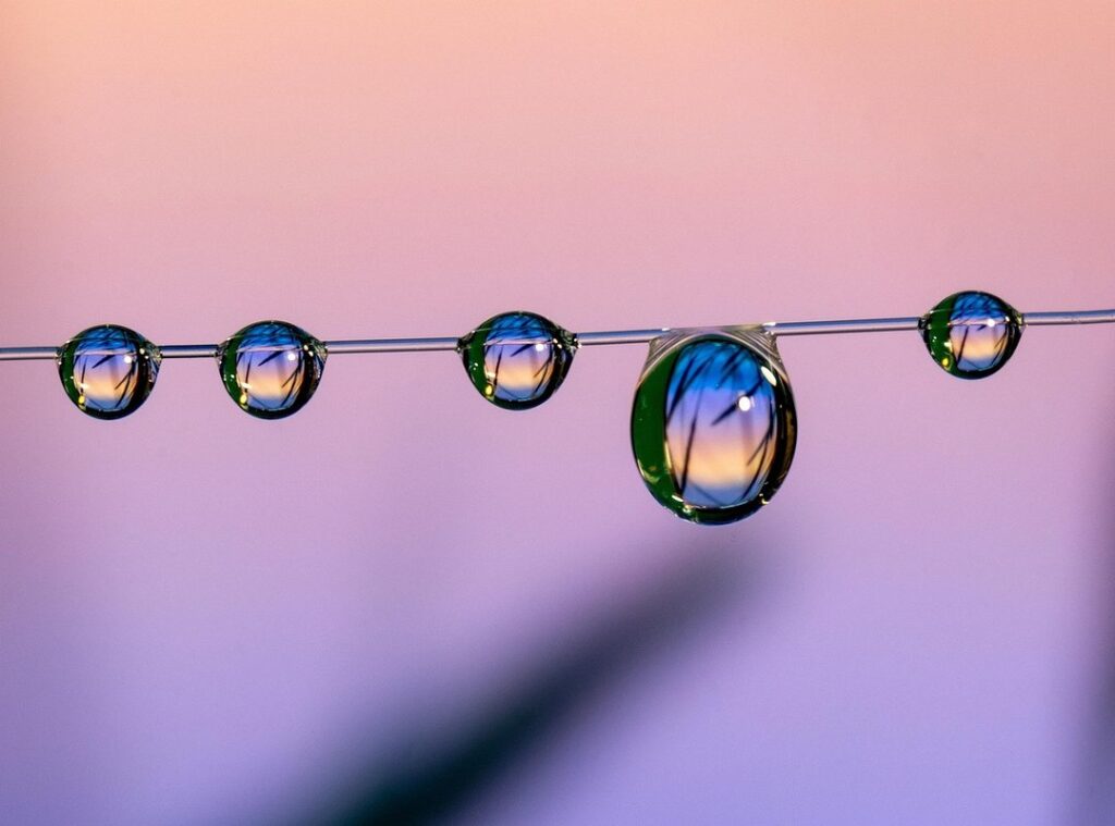 marcos herber fotos actuales