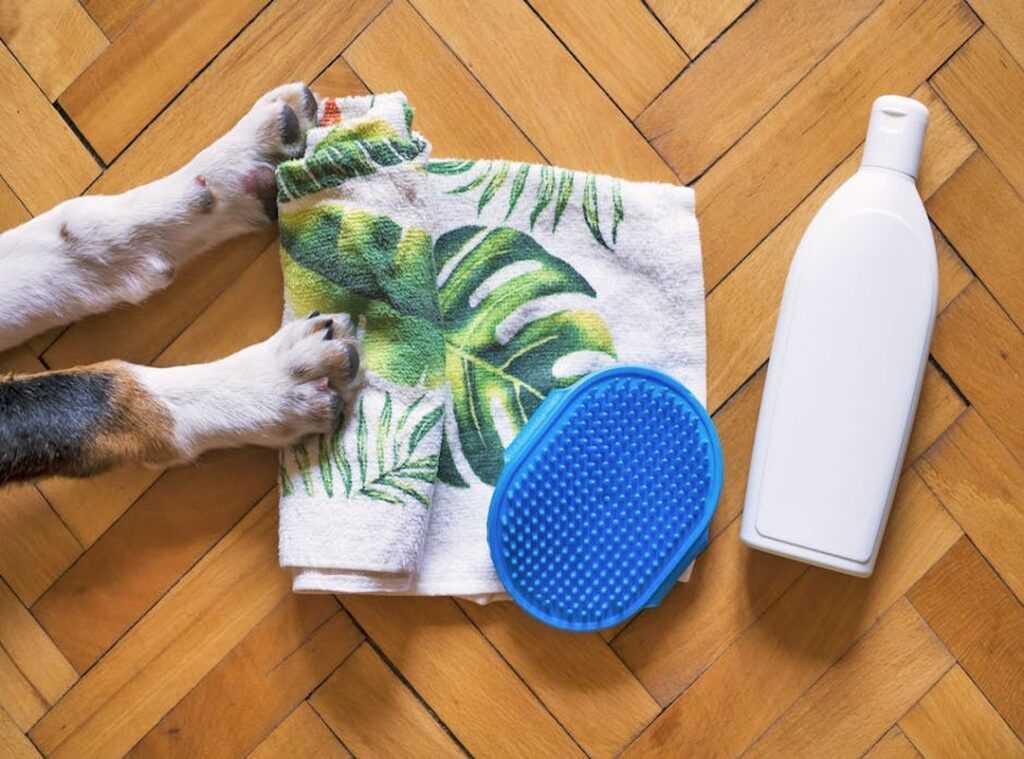 pet-safe shampoo